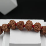 Certified Nepal Natural 6 Mukhi Rudraksha Pooja Mala