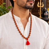 Certified Nepali Brown 2 Mukhi Rudraksha Jaap Mala