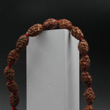 Certified Nepali Brown 2 Mukhi Rudraksha Jaap Mala