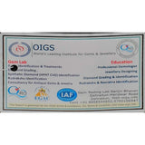 Certified Nepali Brown 2 Mukhi Rudraksha Jaap Mala