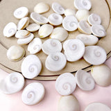 MahaLaxmi Yantra Combo 5 in One