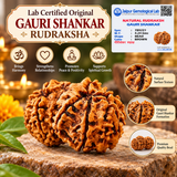 Lab Certified Original Gauri Shankar Rudraksha Beads