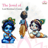 Peacock Feather | Original Mor Pankh (Set of 11 Tails) - Length Size 30 Inches