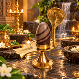 Narmadeshwar Shivling – Original Natural Stone Shivling for Home Temple & Daily Puja