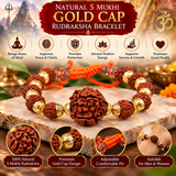 Natural 5 Mukhi Gold Cap Rudraksha Bracelet