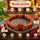 Natural Five Mukhi Rudraksha Stretchable Bracelet