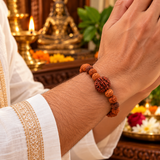 Natural Five Mukhi Rudraksha Stretchable Bracelet