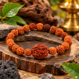 Natural Five Mukhi Rudraksha Stretchable Bracelet