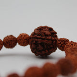 Natural Five Mukhi Rudraksha Stretchable Bracelet