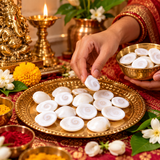 Natural Gomti Chakras | Rare Hand-Picked Gomati Chakras Perfect Shape, No Damage
