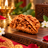 Nepali Natural 1 Mukhi Rudraksha Lab Certified (2.48 g)