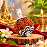 Original 10 Mukhi Rudraksha Bead Silver locket