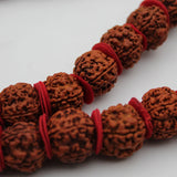 Kanthi Rudraksha Beads