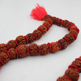 5 Mukhi Kanthi Rudraksha Beads 54+1 Mala