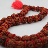 Original 5 Mukhi Kanthi Rudraksha Beads 54+1 jaap Mala