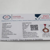 Original Certified 1-14 Face Mukhi Gaurishankar Rudraksha Nepali Kanthi Mala