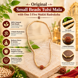 Original Small Beads Tulsi Mala with One 5 Five Mukhi Rudraksha