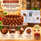 Pack Of 2 combo Original Multiline Stretchable 5 Mukhi Rudraksha Beads Handband,1 to 14 Mukhi Rudraksha Original Certified