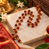 Rudraksha Mala With Golden Cap (38 Beads)