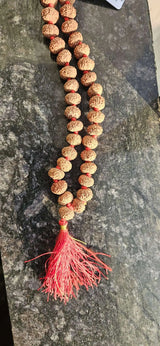 10 Mukhi Rudraksha Mala Original