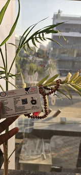 10 Mukhi Rudraksha Mala Original