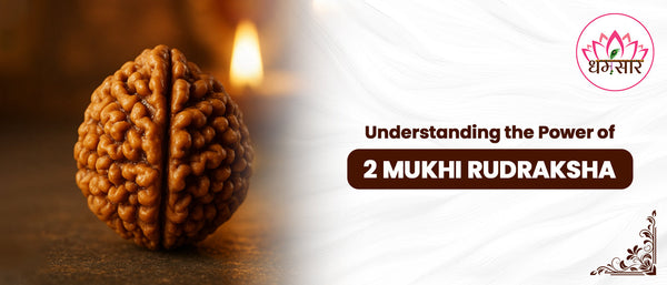 Understanding the Power of the 2 Mukhi Rudraksha