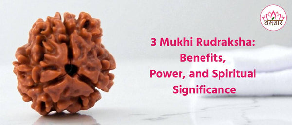 3 Mukhi Rudraksha: Benefits, Power, and Spiritual Significance