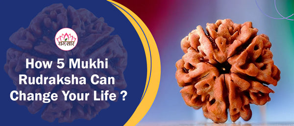 How 5 Mukhi Rudraksha Can Change Your Life ?