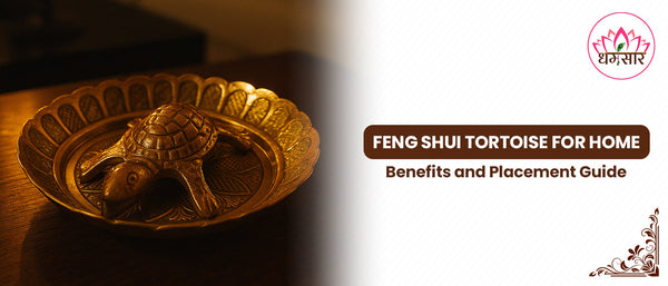 Feng Shui Tortoise for Home: Benefits and Placement Guide