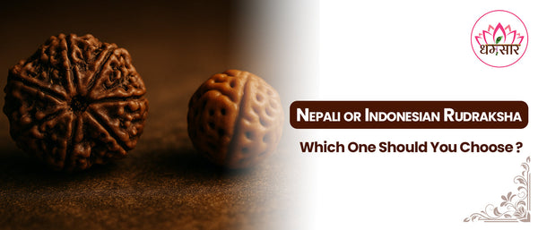 Nepali or Indonesian Rudraksha: Which One Should You Choose?