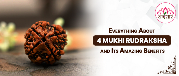Everything About 4 Mukhi Rudraksha and Its Amazing Benefits