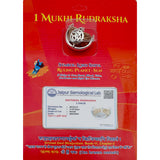 Natural 1 Face Rudraksha For Men Women,Original Lab Certified Brown One Mukhi Nepali Rudraksha With Om Silver Capping Locket,Lord Shiva Half Moon Kaju Dana Rudraksha