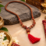 Original Certified 1-14 Face Mukhi Gaurishankar Rudraksha Nepali Kanthi Mala
