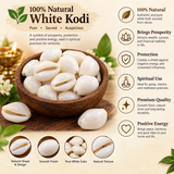 100% Natural White Kodi