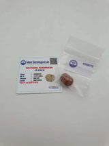 12 Mukhi Rudraksha Certified 1.97 Grams