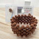 Pack Of 2 combo Original Multiline Stretchable 5 Mukhi Rudraksha Beads Handband,1 to 14 Mukhi Rudraksha Original Certified