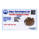 5 Mukhi Panchmukhi Rudraksha Mala 108 Beads