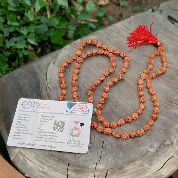 Certified Original 4 Mukhi Nepal 108 Beads Big Size Rudraksha Mala for Men and Women
