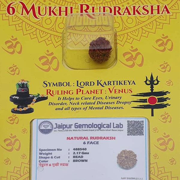 6 Mukhi Rudraksha For Men Women,Om Hreem hoom Namah Original Lab Certified Lord Kalagni Rudra Six Face Rudraksha Neck,Venus Planet Nepal Origin Brown Color Bead