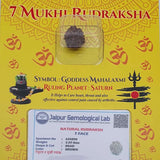 Seven Mukhi Rudraksha For Men Women,Om hoom Namah Original Lab Certified Goddess Mahalaxmi 7 Face Rudraksha Neck,Saturn Planet Nepal Origin Brown Color Bead 2.22 g