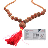 Original Certified 1-14 Face Mukhi Gaurishankar Rudraksha Nepali Kanthi Mala