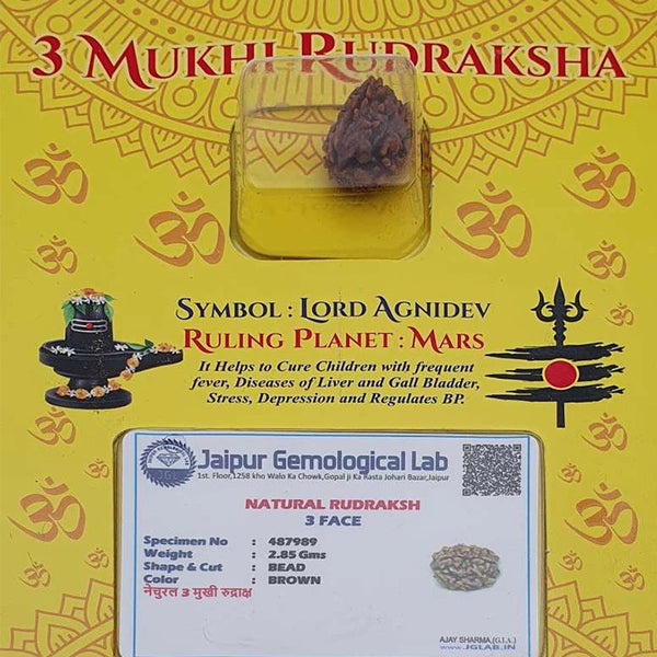 Natural 3 Mukhi Rudraksha For Men Women,Om Namah Original Lab Certified Lord Agnidev 3 Face Rudraksha,Mars Planet Nepal Origin Brown Color Bead 2.85g