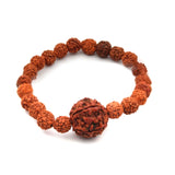 Natural Five Mukhi Rudraksha Stretchable Bracelet