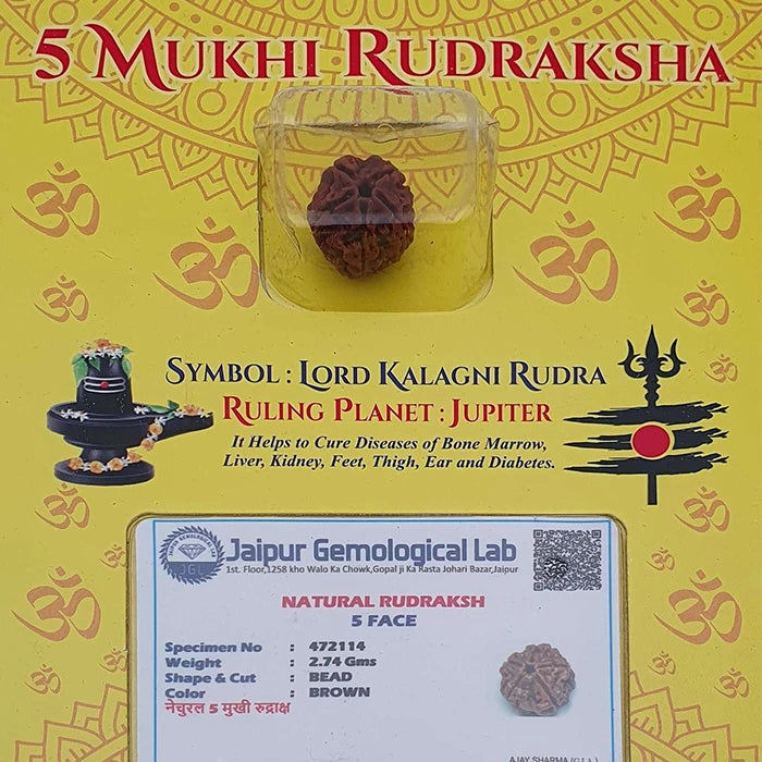 Natural 5 Mukhi Rudraksha For Men Women,Om Hreem Namah Original Lab Certified Lord Kalagni Rudra Five Face Rudraksha Pooja,Jupiter Planet Nepal Origin Brown Color Bead 2.53g