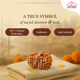 Lab Certified Nepali Gauri Shankar Rudraksha Beads (4.24 g)