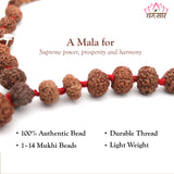 Original Certified 1-14 Face Mukhi Gaurishankar Rudraksha Nepali Kanthi Mala