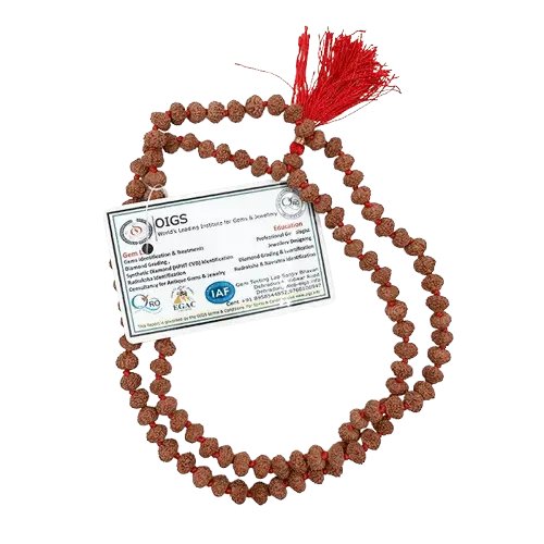 10 Mukhi Rudraksha Mala Original