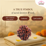 4 Mukhi Natural Rudraksha Lab Certified