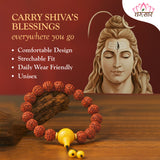 Original 5 Mukhi Big Rudraksha Bracelet