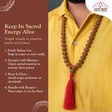 Original Certified 1-14 Face Mukhi Gaurishankar Rudraksha Nepali Kanthi Mala